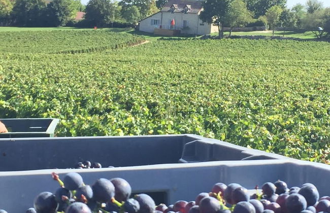La Maison du Grand Four en Bourgogne, Au coeur de Vignes, Piscine et Sauna - Foto 31