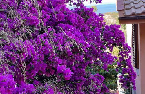 CASA MARGOT(RELAX CON VISTA) - Foto 33