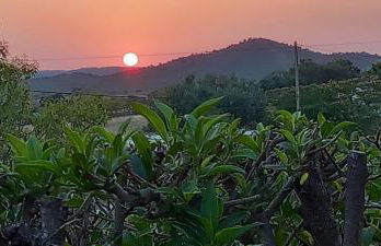 Casa Monte da Eira - Foto 45