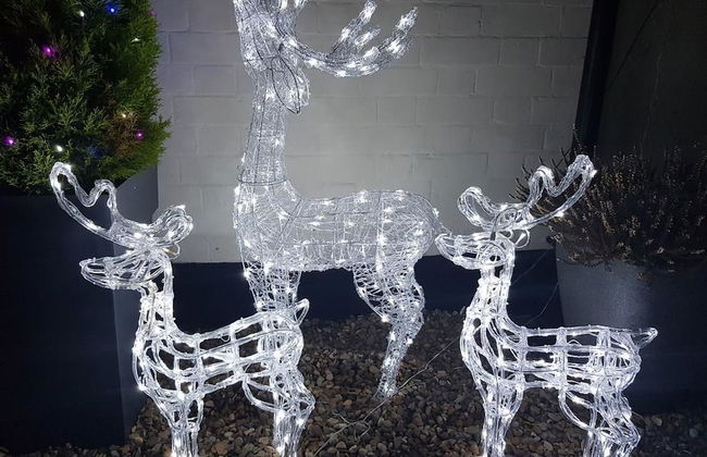 Chatterley House - Foto 40