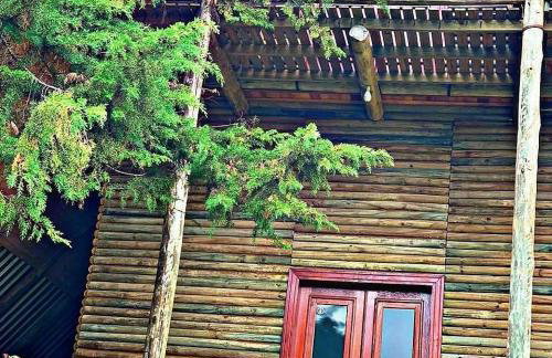 CHALÉ ESTÂNCIA OURO VERDE - Photo 60