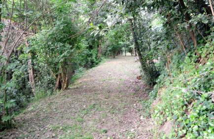 Casolare Toscano - Foto 15