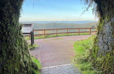 Casa das Palmeiras - Res. of Elizabete and Fatima - Foto 44