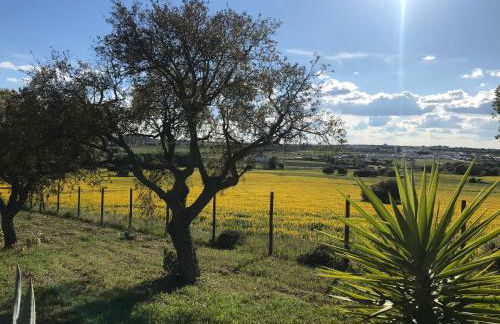 Quinta da Colina - Foto 42