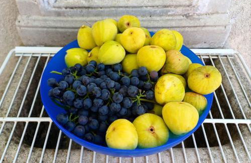 Peaks & Waves Apartment - Photo 23