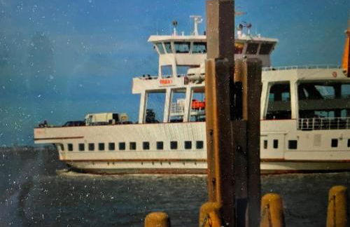 Seestern am Naturstrand - Foto 27