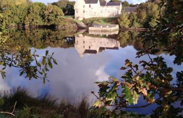 Gîte entre terre et mer à Plouarzel - Foto 9