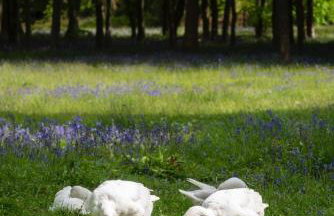 Gorgeous English Country Barn - Foto 34