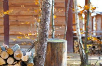 Domek Baby Jagi Prawdziwy Survival - Foto 10