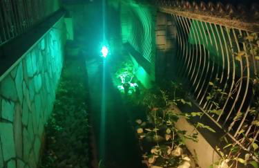 Althea Studios & Apartments - Foto 22