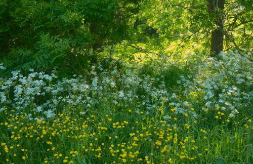 Haus Horizont - Foto 62