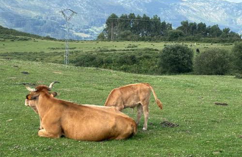 El Refugio de los Corrales - Foto 75