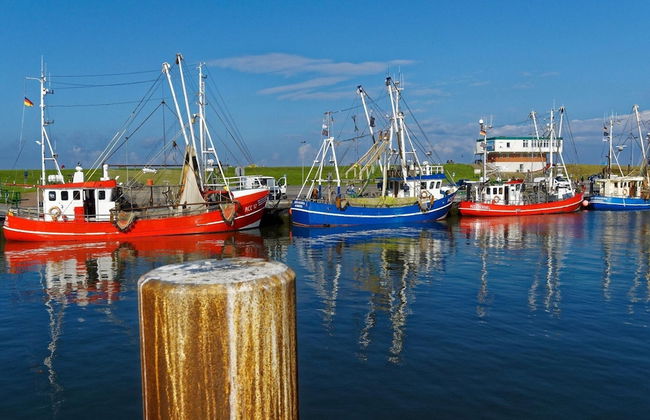 Schicke Doppelhaushalfte in Nessmersiel - Foto 21