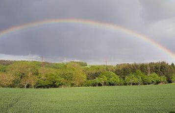 Ferienwohnung Gutowski - Foto 17