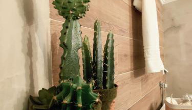 Simply Like Home - Foto 5
