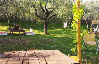 La Casa Tra Gli Ulivi - Foto 19