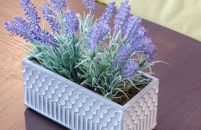 Studio City Universal Apartments - Foto 15