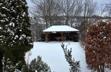 Wiśniowy Sad - Foto 48