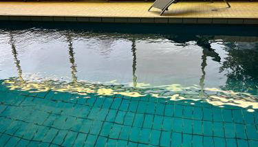 Ferienhof Riekeshof - Foto 3