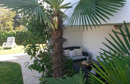 Apartment Devčić - Photo 35