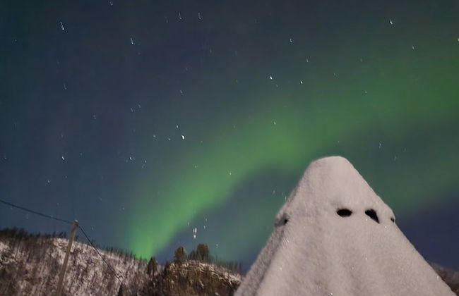 Elvestua House in Nature - Foto 36