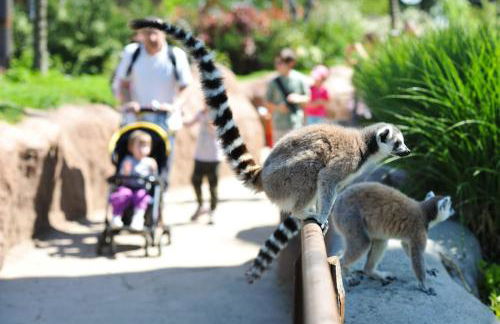 CASA VACANZA GIAVENO - 8 KM Sacra di San Michele - Photo 28