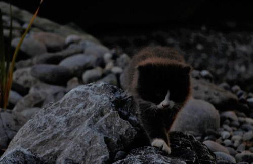 Ferienhof Stärk - Foto 54