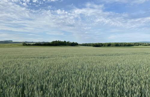 Boutique Holiday Home in Bouix With Garden - Foto 86