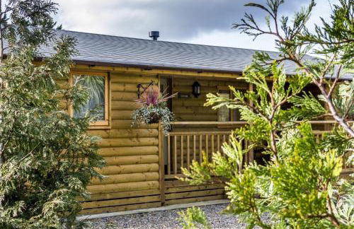 Fern Lodge - 2 Bedroom Log Cabin - Saint Florence - Tenby - Photo 26