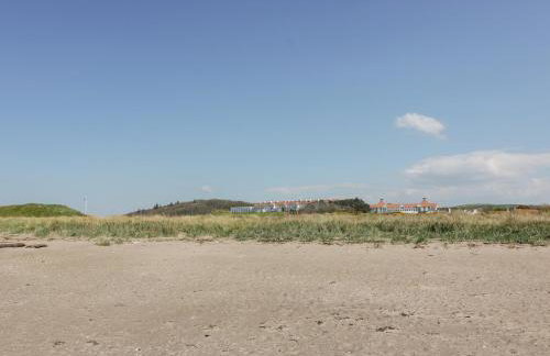 Ailsa Shores - Photo 44