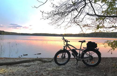 Studio Zempow, ökologisches Ferienhaus - Photo 23