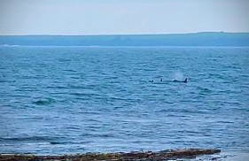 3 Sinclair Bay Lodges - Foto 14