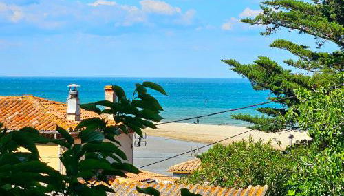 Villa des cèdres La Franqui - Foto 5