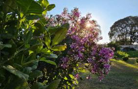 Pousada Bom Pastor - Foto 33