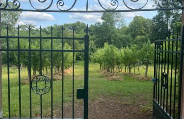 L' Extravagante im Garten von Schloss Schmidtheim - Foto 12