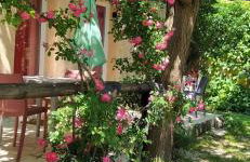 Abrivado Aimargues en petite camargue, parking intérieur, wifi, jardin - Foto 5