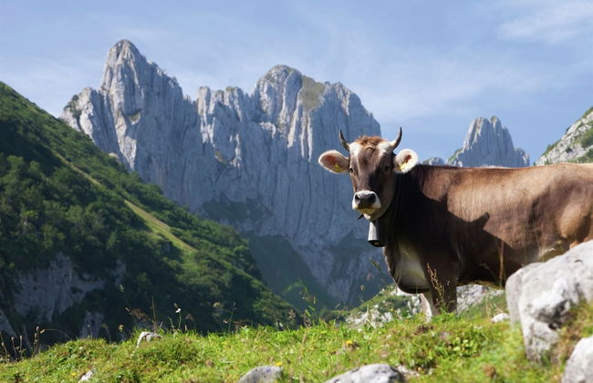 Holiday Home in Nysted by Baltic Sea - Foto 28