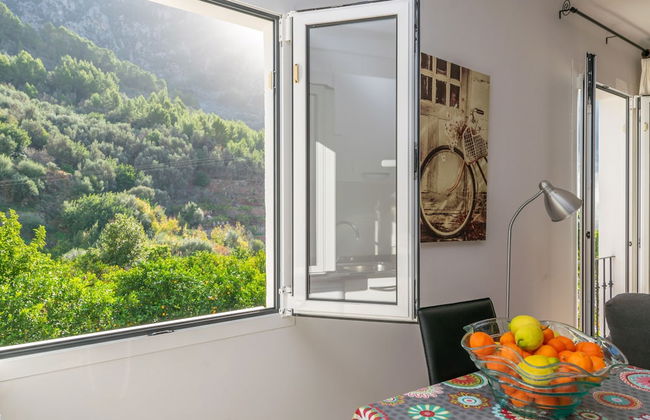 Cas Decu in Fornalutx - Photo 15