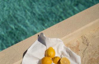 Sage Suite - Photo 12