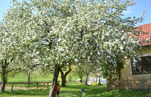 Zirbenholzwohnung Lochau - Foto 26