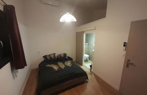 VILLA Adrien , maison de charme. - Foto 15