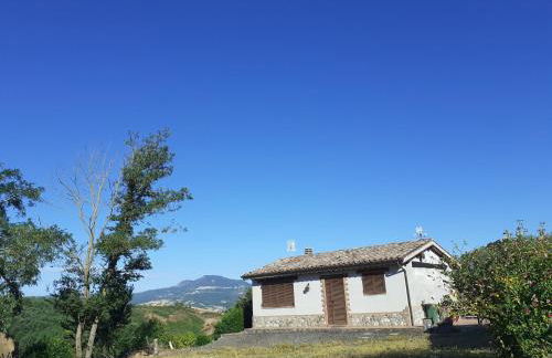 Predio Potantino - Foto 29