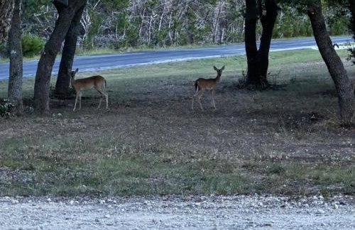 Texas Hiil Country Retreat, Bulverde - Foto 38