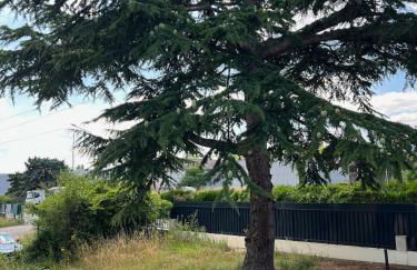 Studio Platanes 1 - Proche Disneyland - Parking gratuit - Meaux - Foto 22