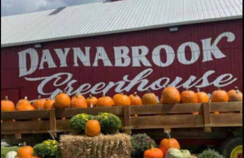 Serene Bourbon Cabin - Foto 35