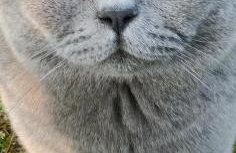 Maison avec Spa en bord de mer - Foto 29