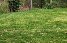 Sunshine Beautiful - Foto 5