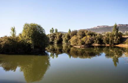 Complejo Turístico Rural Fuente Taray - Foto 54