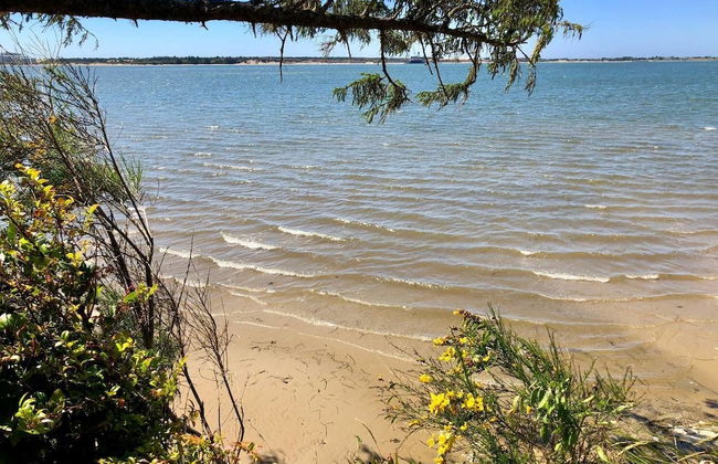 Seagate: Starboard~coos Bay~premiere Property - Foto 33