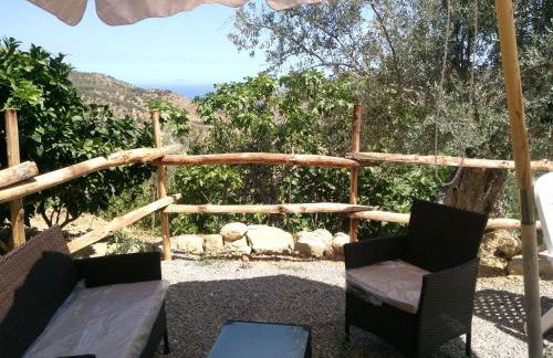 L'Uliveto - Foto 109